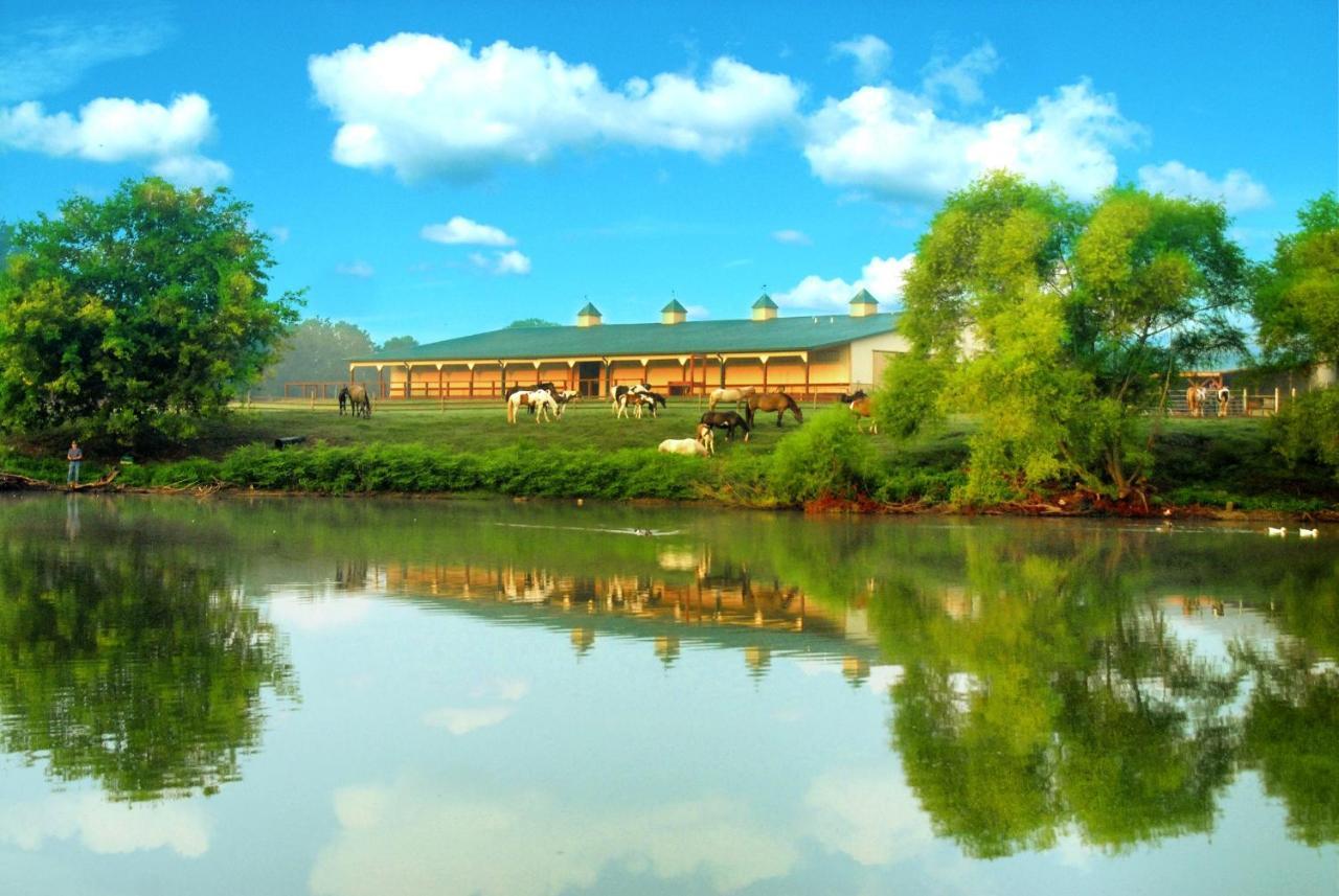 Southern Cross Guest Ranch เมดิสัน ภายนอก รูปภาพ